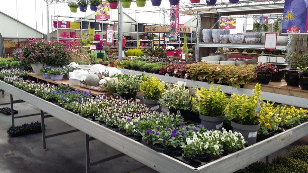 La jardinerie | Plus qu'une simple jardinerie