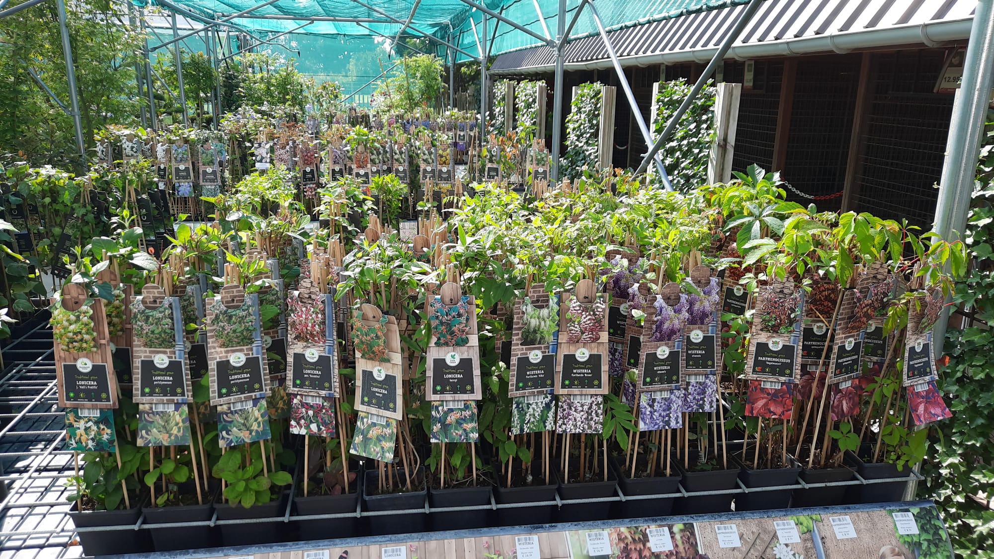 Bienvenue à la Jardinerie Delbard de Carnières - La Jardinerie Carnières