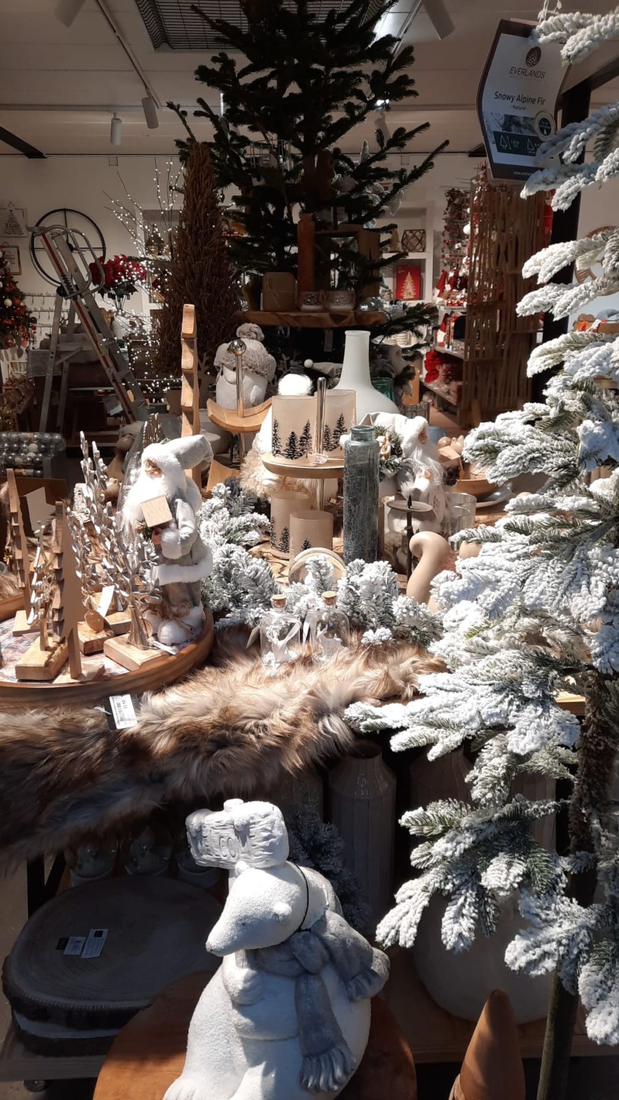 delbardnoel2022deco6 La Jardinerie Carnières